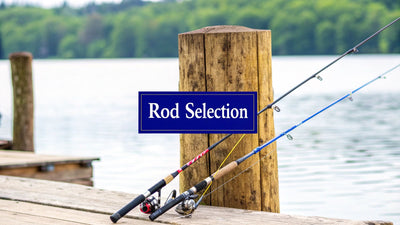 How to Choose a Fishing Rod: A Guide from Sportfishing Legends