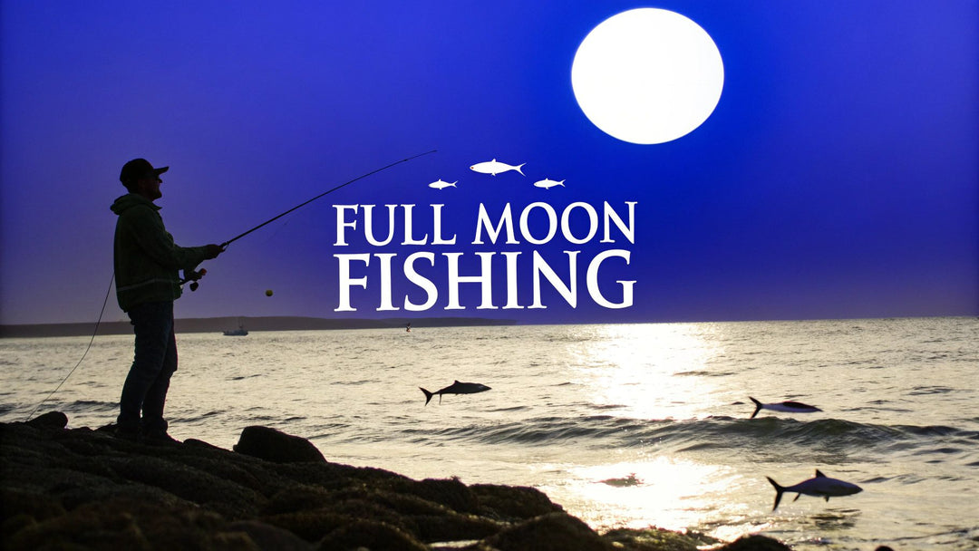 Full Moon and Fishing: Secrets from Legendary Anglers